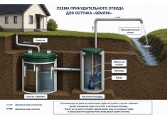 Зорде Рейн 12 Миди